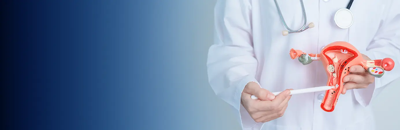 Medico mostrando a imagem de um utero